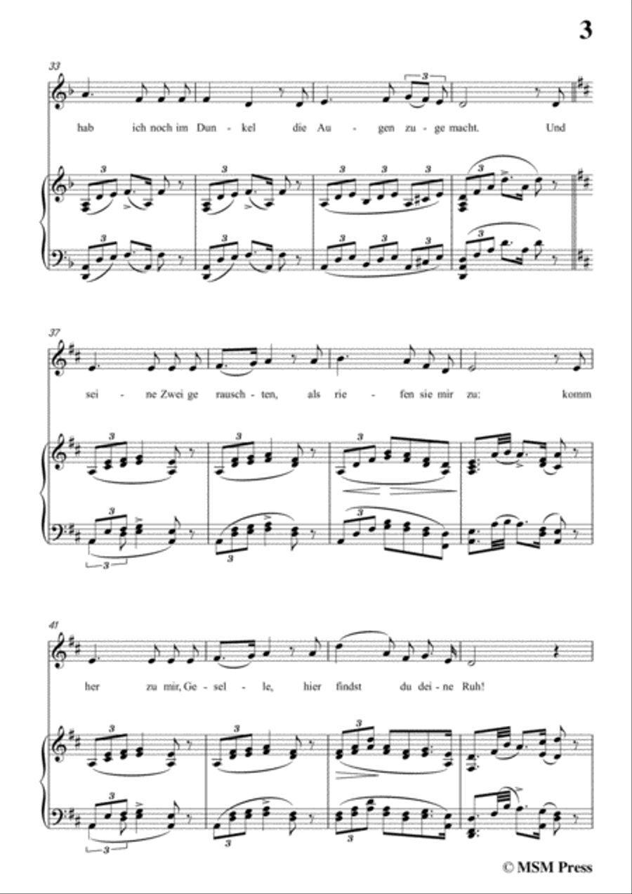 Schubert-Der Lindenbaum,Op.89,No.5,in D Major,for Voice and Piano Voice Solo scores gallery preview page 5