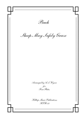 Book cover for Sheep may safely graze arr. four equal flutes