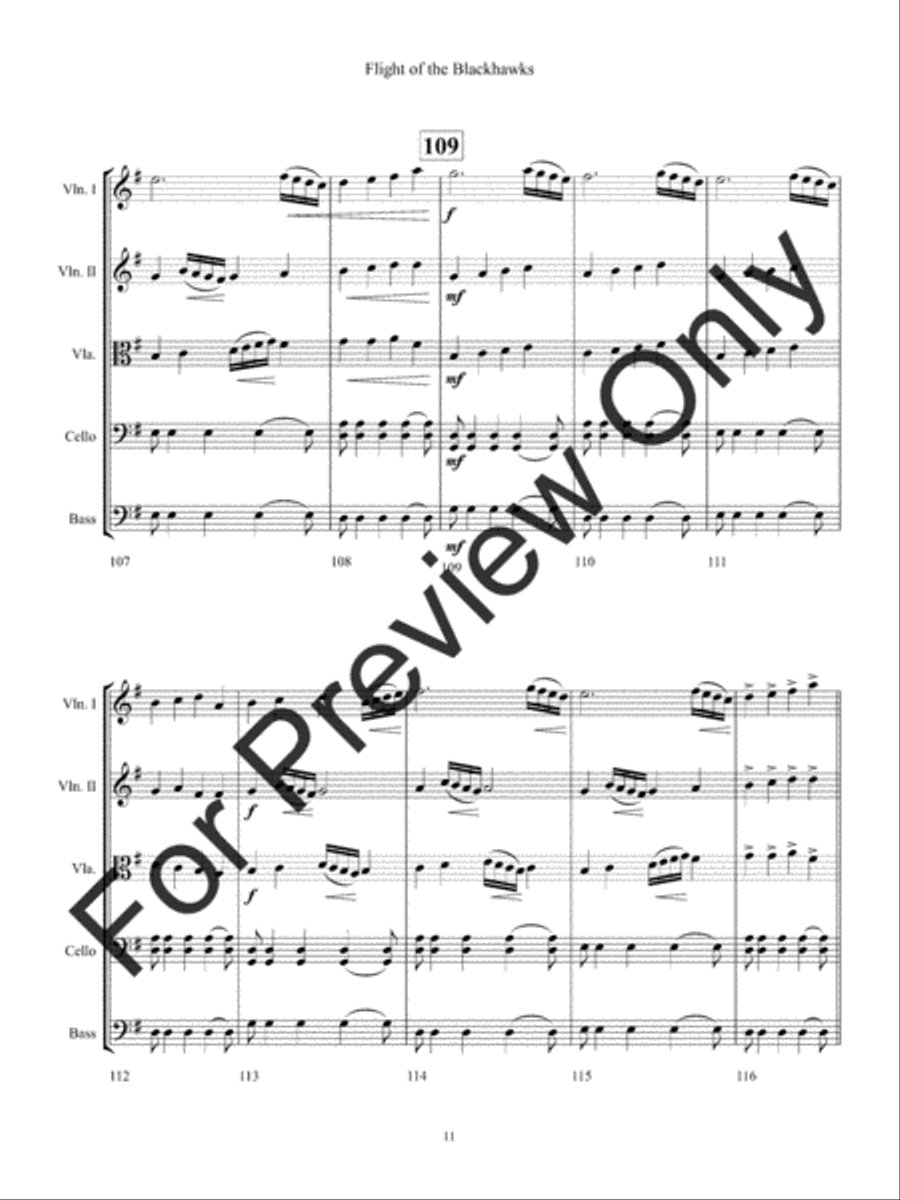 Flight of the Blackhawks Flight of the Blackhawks String Orchestra scores gallery preview page 14