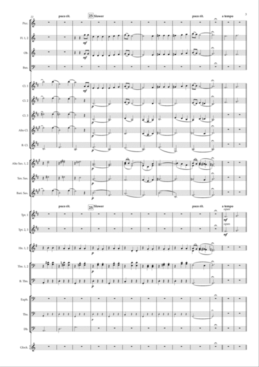 Poisoning Pigeons in the Park Concert Band scores gallery preview page 3