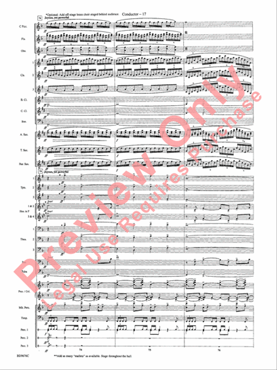 Paradiso Paradiso Concert Band scores gallery preview page 20