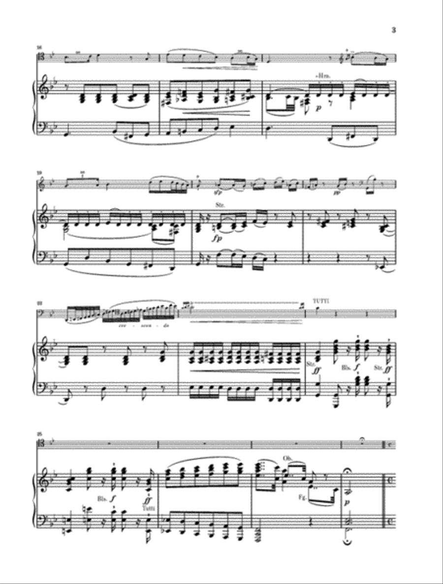 Potpourri Op. 95 (“Fantasy”) Piano Accompaniment scores gallery preview page 3