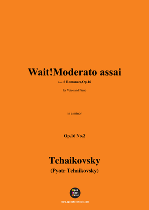 Book cover for Tchaikovsky-Wait!Moderato assai,in a minor,Op.16 No.2