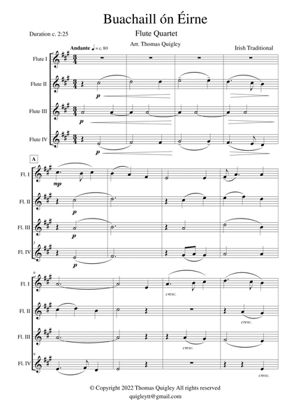 Buachaill Ón Éirne ( Flute Quartet) image number null