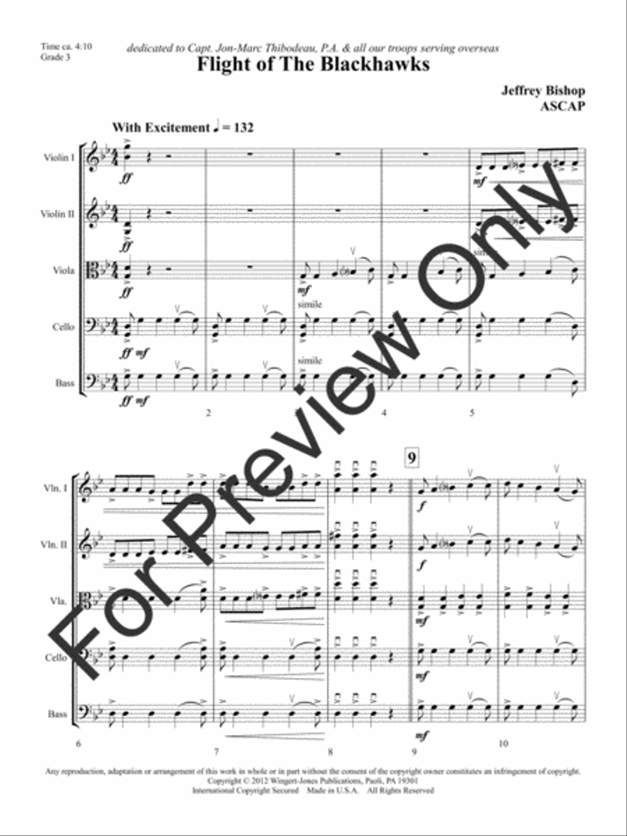 Flight of the Blackhawks Flight of the Blackhawks String Orchestra scores gallery preview page 4