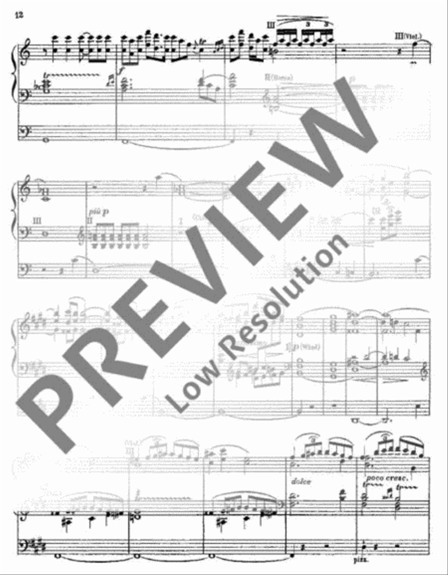 Siegfried-Idyll Organ scores gallery preview page 13