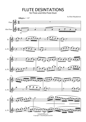 Book cover for FLUTE DESTINATIONS - Alto Flute and Concert Flute Duet