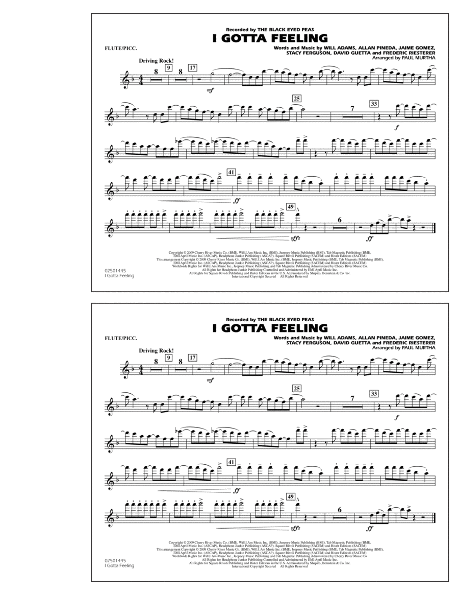 I Gotta Feeling - Flute/Piccolo Marching Band scores gallery preview page 1