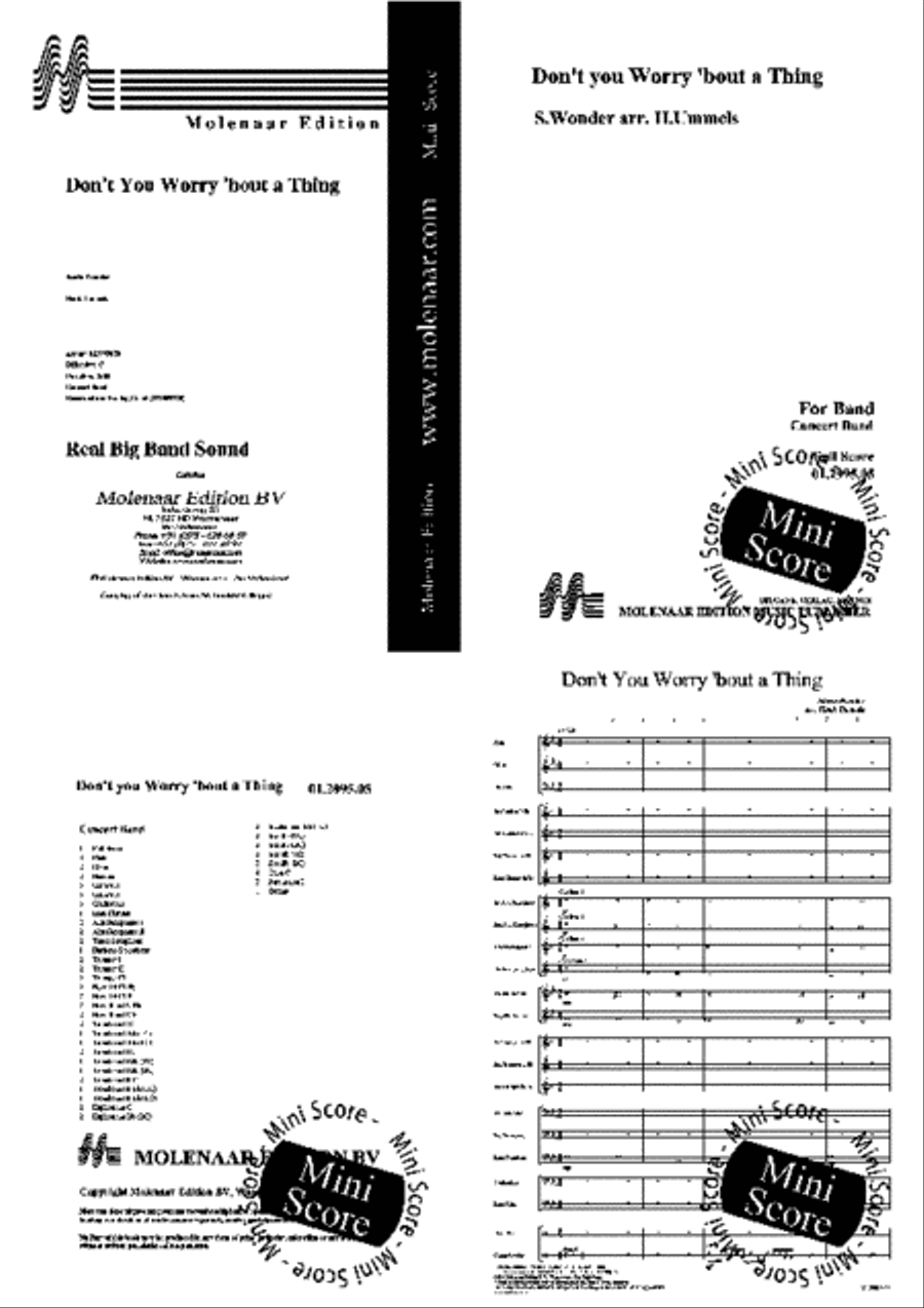 Don't You Worry 'bout a Thing Big Band scores gallery preview page 2