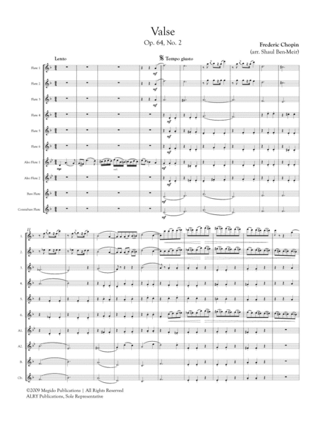 Valse, Op. 64, No. 2 for Flute Orchestra