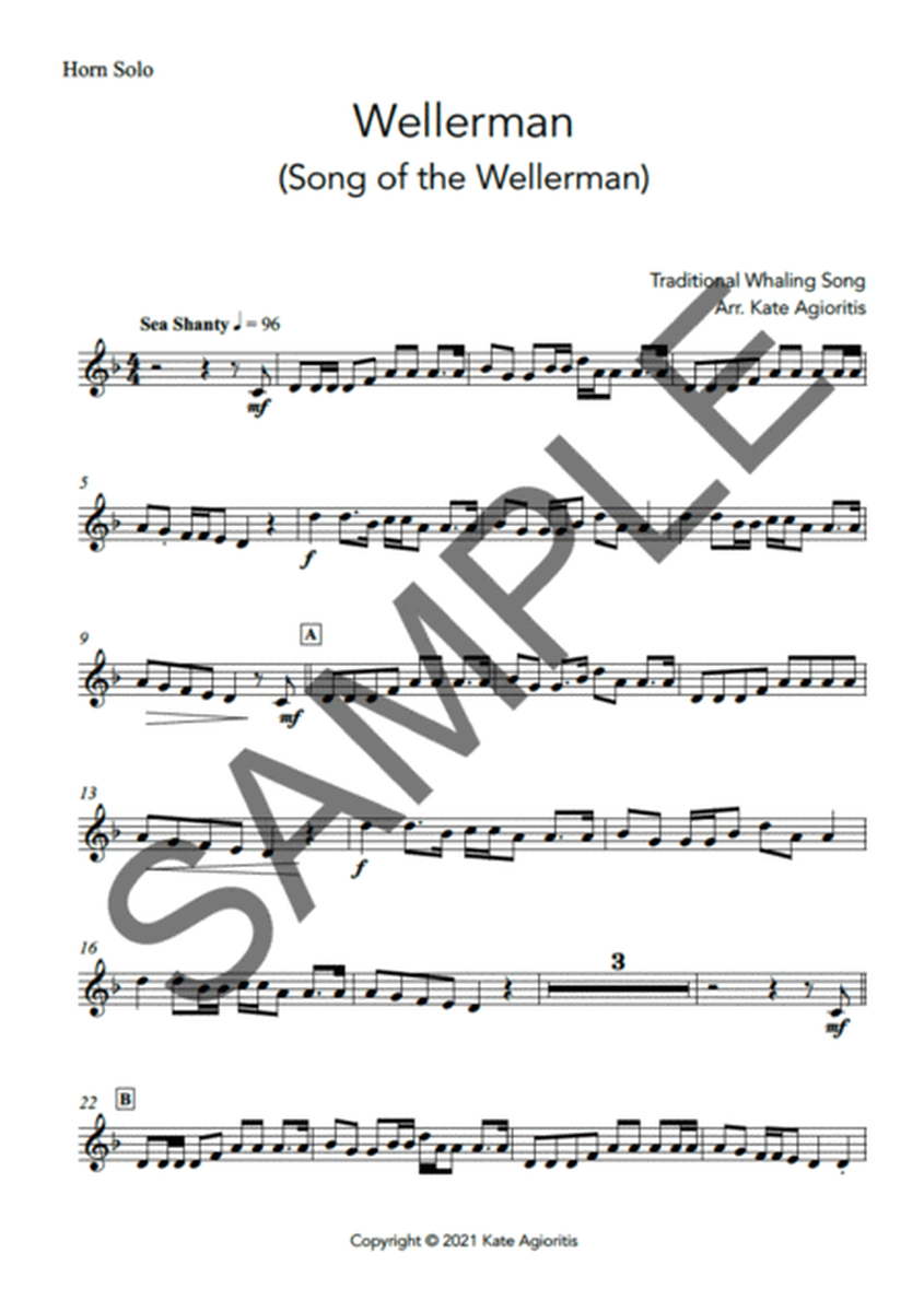 Wellerman - Solo for Horn (with play-along backing track) image number null