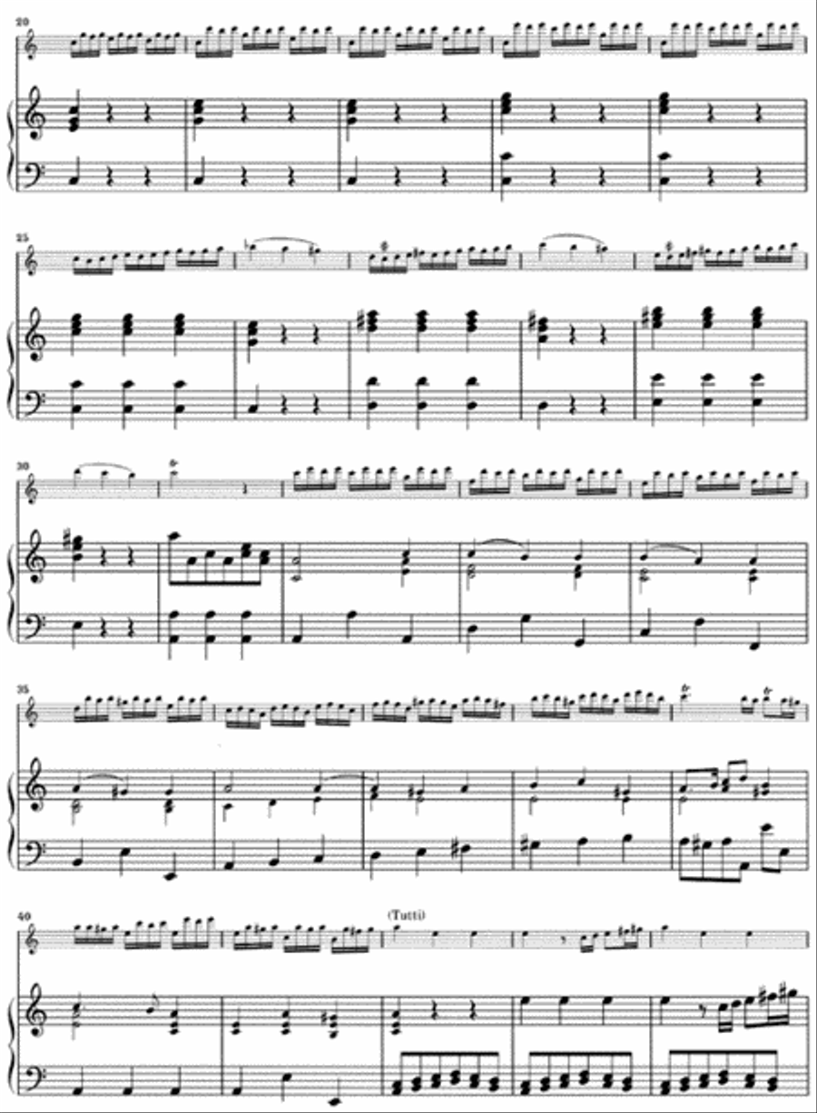 Concerto for Flautino (Recorder/Flute) and Orchestra in C Major, Op. 44, 11 RV 443 Recorder scores gallery preview page 3