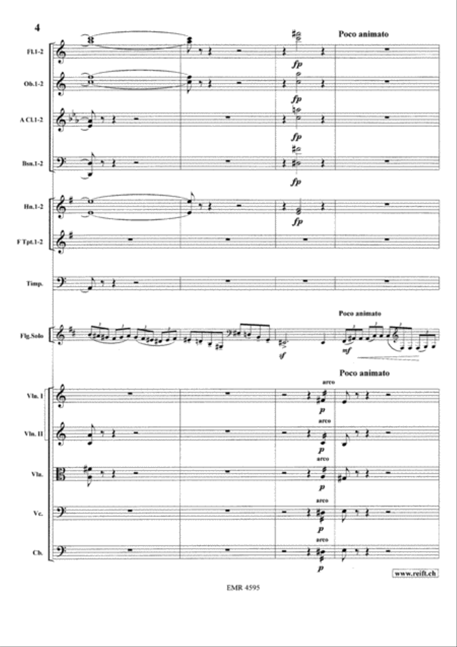 Concerto in A minor Orchestra scores gallery preview page 6