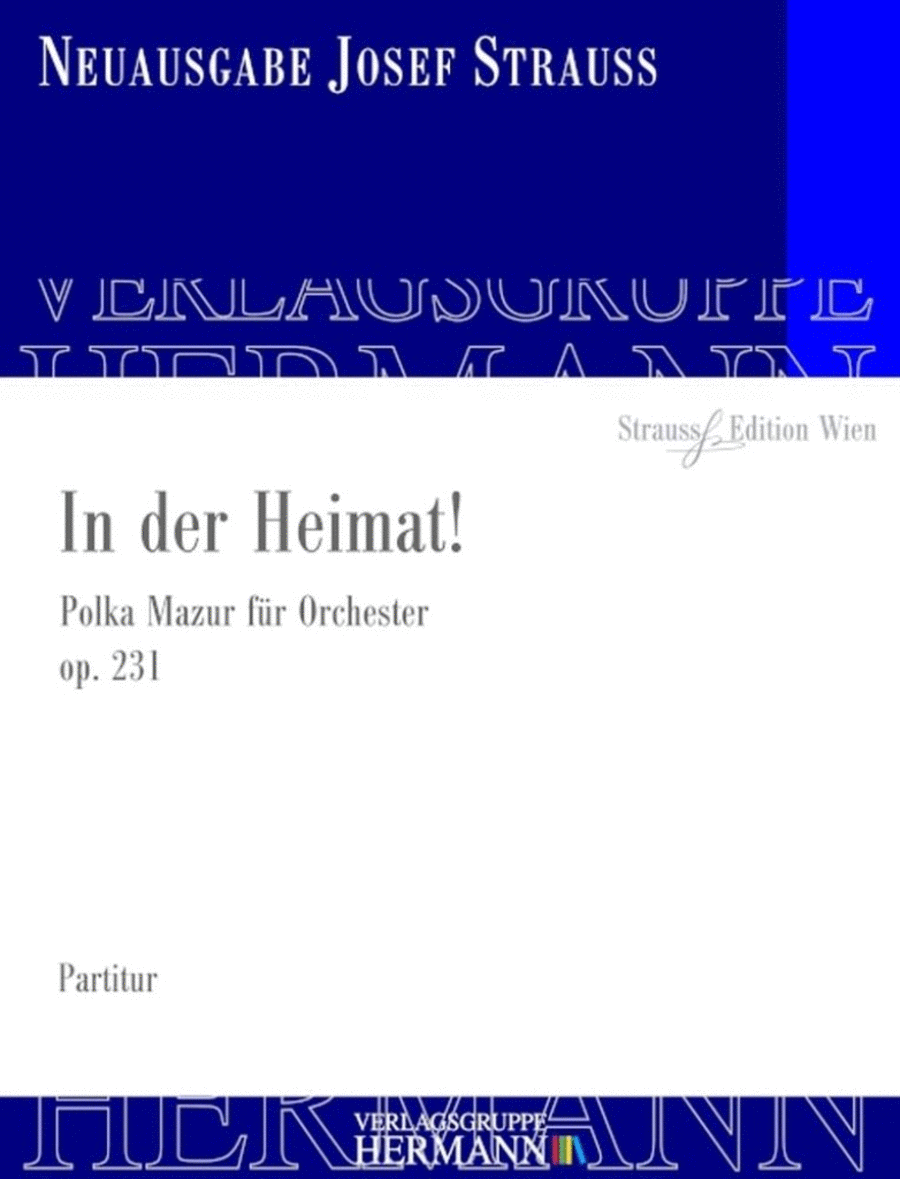 In der Heimat! Op. 231 Orchestra scores gallery preview page 1