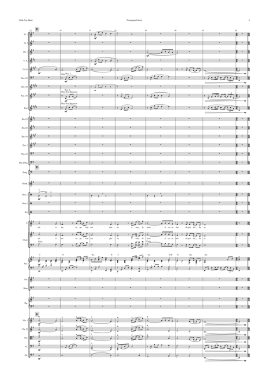 Nelle Tue Mani Full Orchestra scores gallery preview page 3