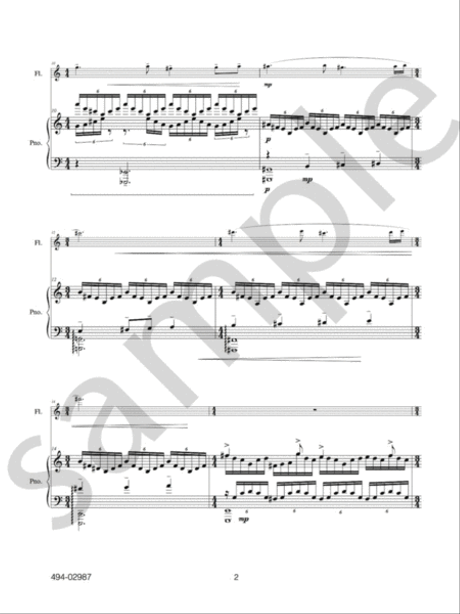 Flute Concerto Chamber Music scores gallery preview page 5