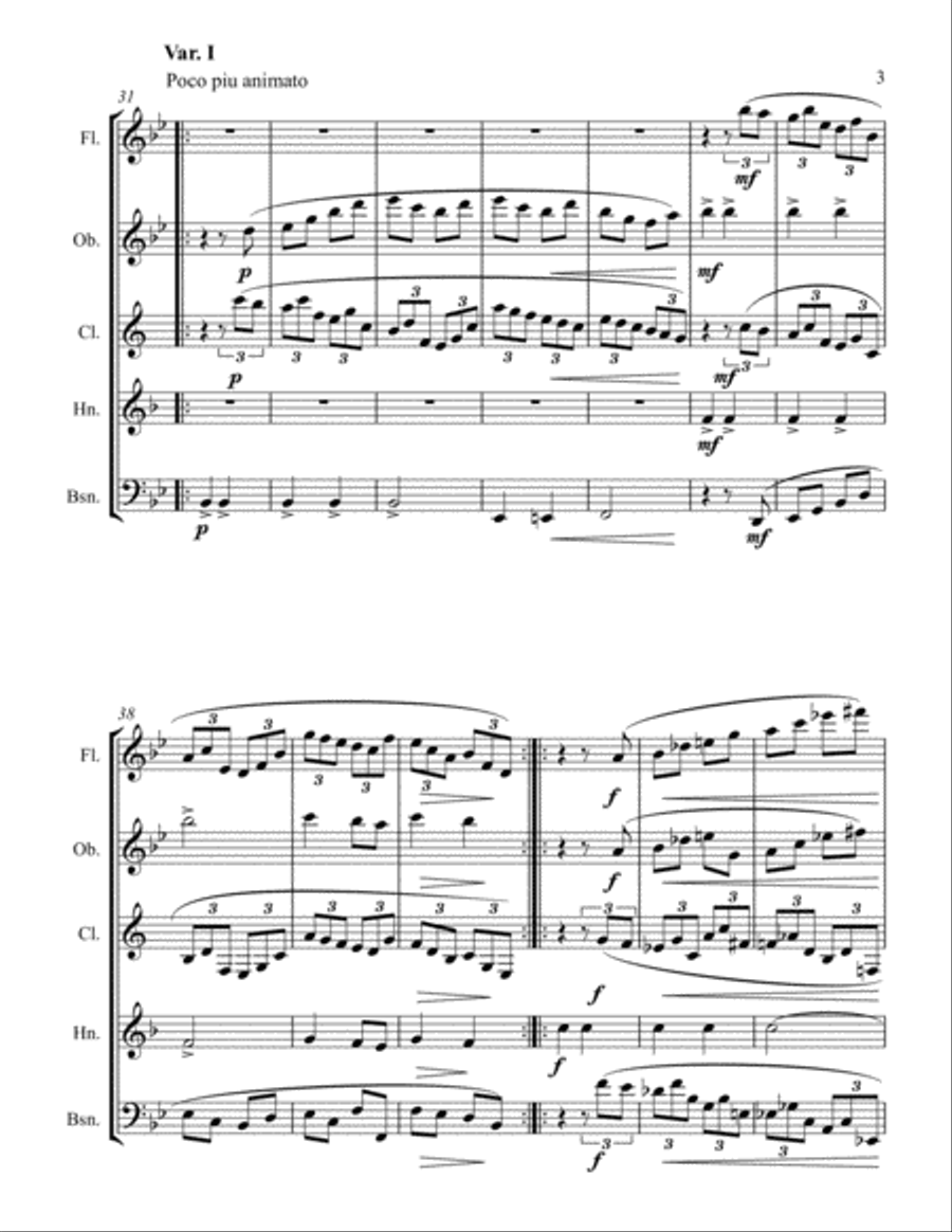 Variations on a Theme of Haydn Woodwind Quintet scores gallery preview page 5