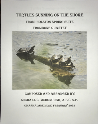 Turtles Sunning on the Shore