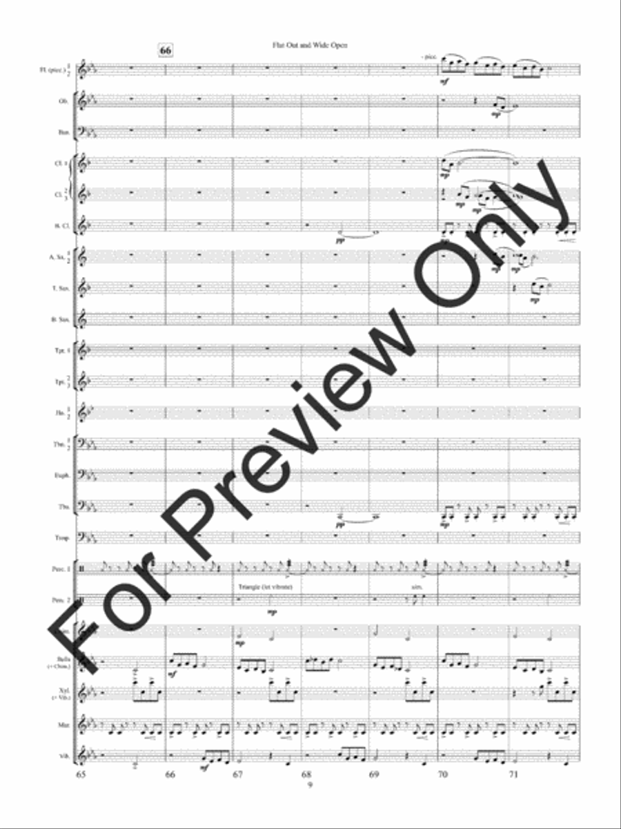 Flat Out and Wide Open Concert Band scores gallery preview page 12