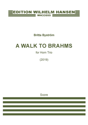 Book cover for A Walk to Brahms