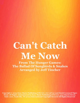 Book cover for Can't Catch Me Now