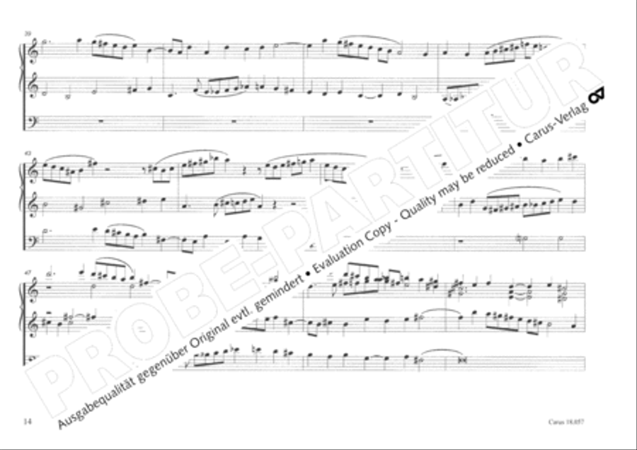 Toccata and Fugue Organ scores gallery preview page 15
