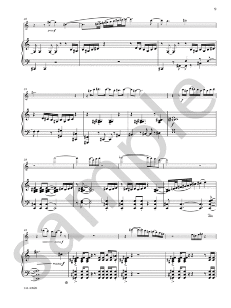 Concerto Elegia Chamber Music scores gallery preview page 8