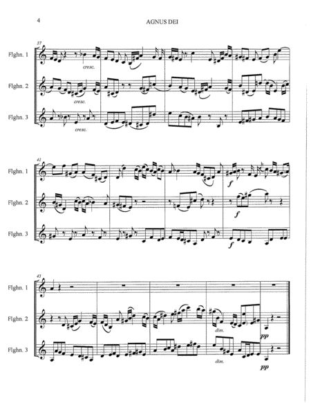 Agnus Dei - Aria from Bach B minor Mass