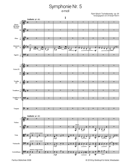 Symphony No. 5 in E minor Op. 64
