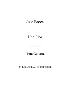 Book cover for Una Flor, Mazurka