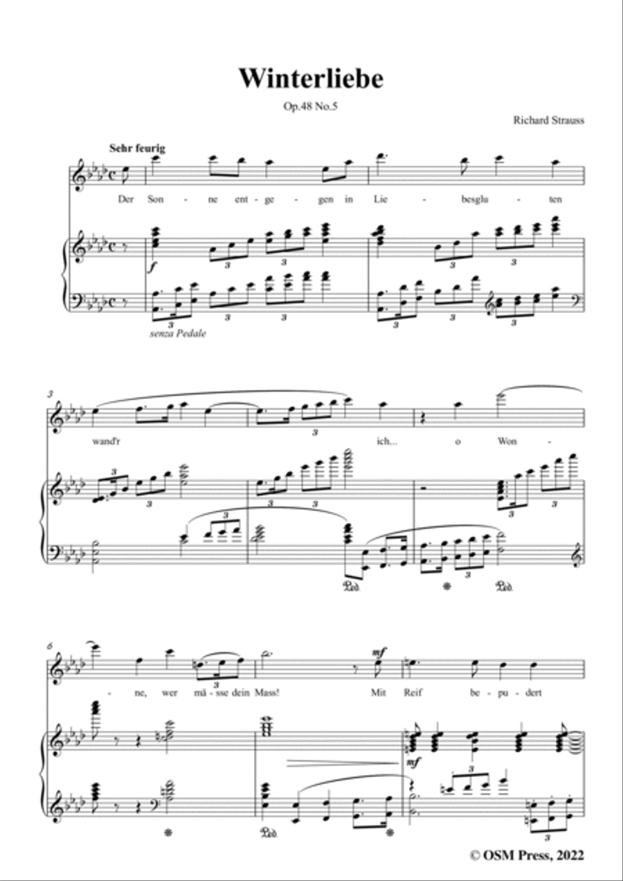 Richard Strauss-Winterliebe,in A flat Major Voice scores gallery preview page 3