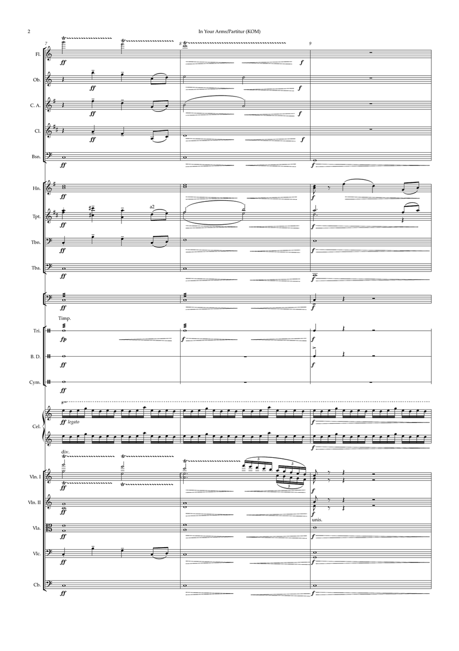 In Your Arms (KOM/Instrumental Version) Chamber Orchestra scores gallery preview page 3