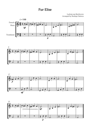 Fur Elise (for french horn and trombone)