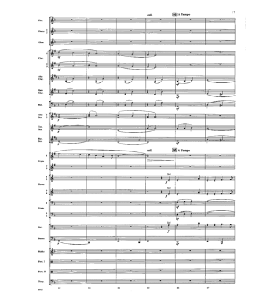 Ireland Concert Band scores gallery preview page 17