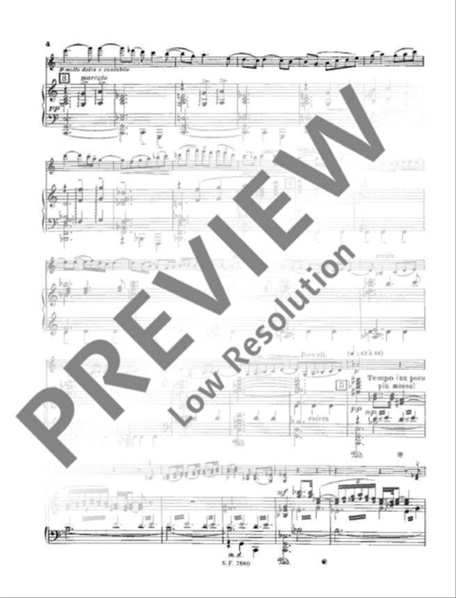Poème héroïque Poème héroïque Piano scores gallery preview page 5