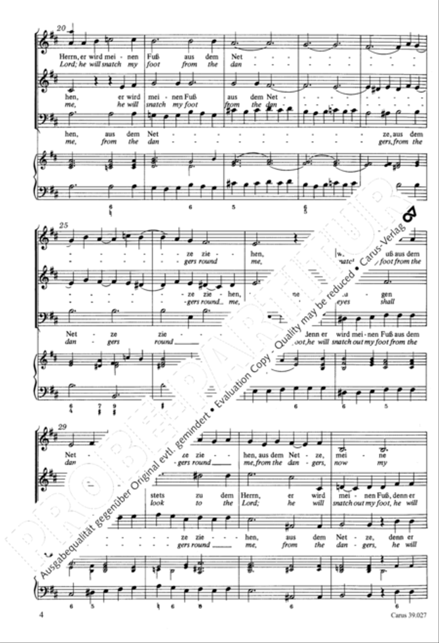 Now my eyes shall ever look to the Lord (Meine Augen sehen stets zu dem Herrn) SA scores gallery preview page 5