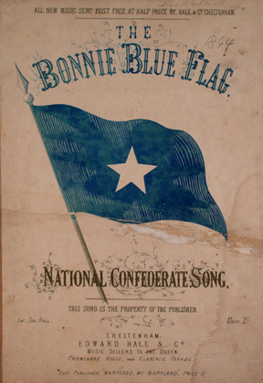 Book cover for Bonny Blue Flag