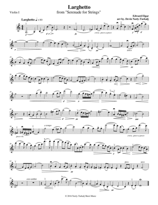Larghetto from Serenade for Strings