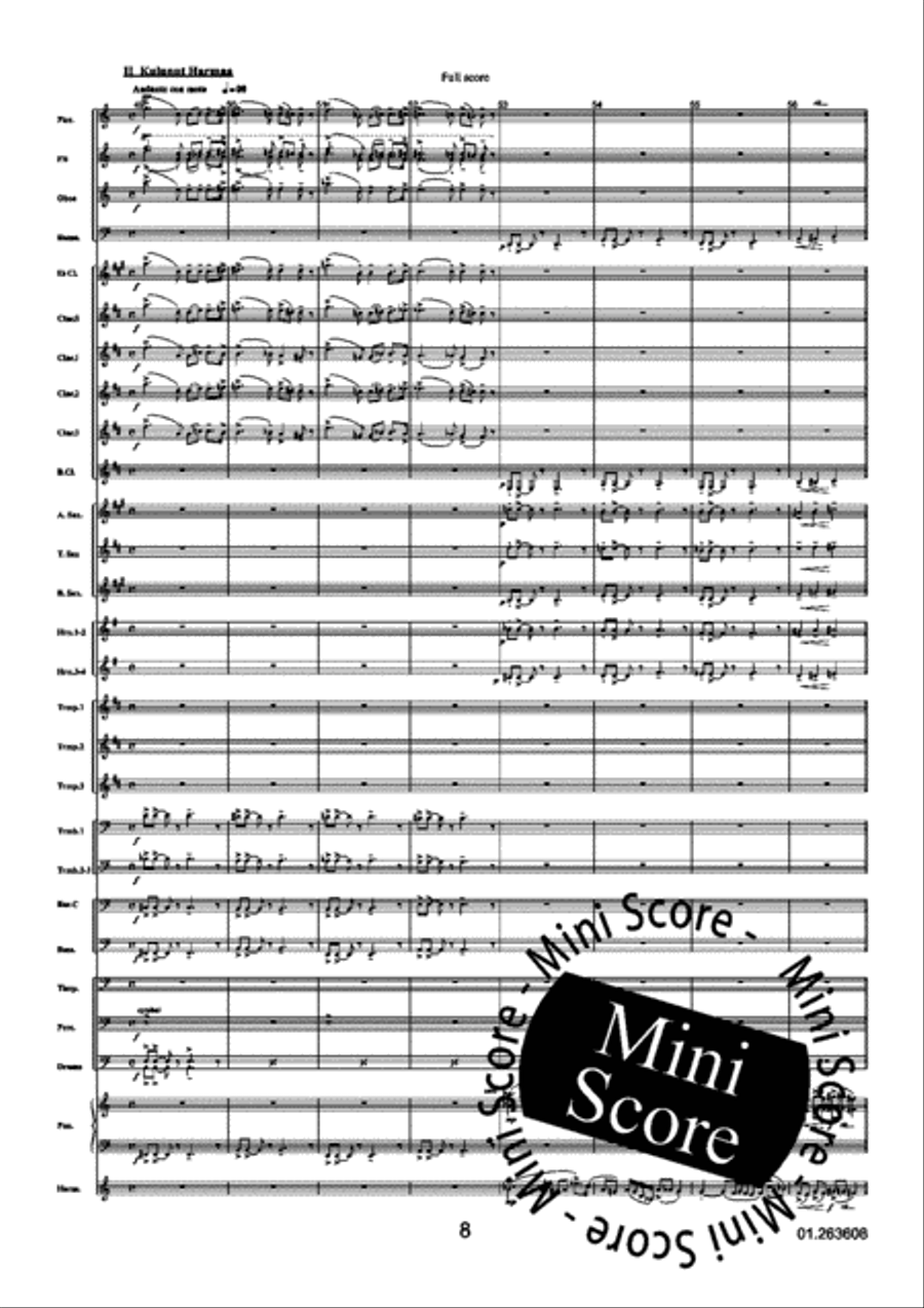 Three Grey Tango's Three Grey Tango's Concert Band scores gallery preview page 12