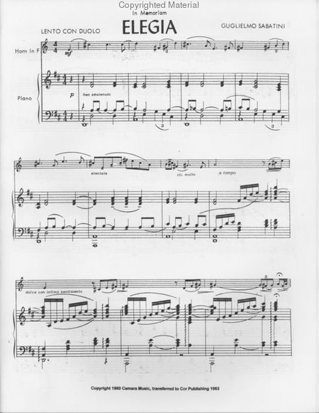 Eligia for Strings & Horn (solo horn & string quartet)