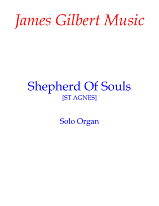 Book cover for Shepherd Of Souls