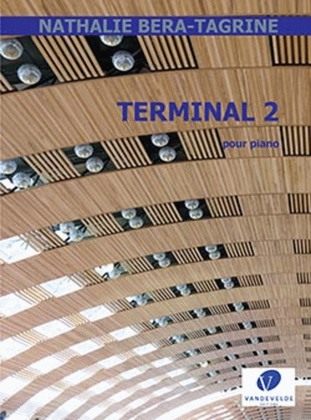 Book cover for Terminal 2