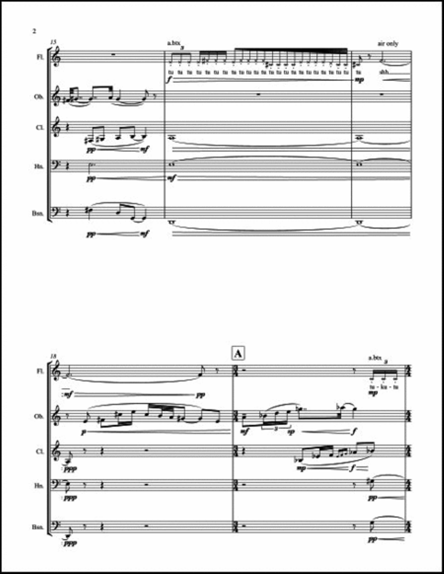 Until Dawn Woodwind Quintet scores gallery preview page 4