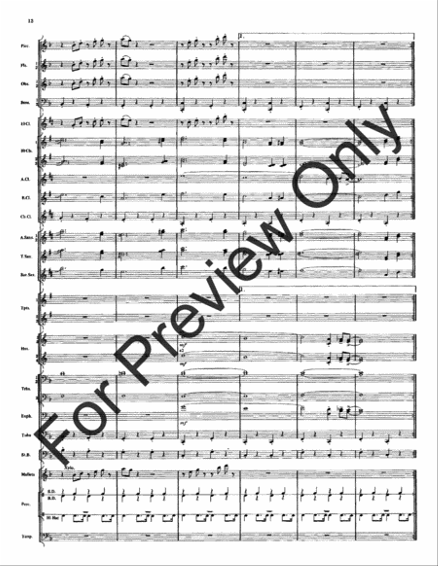 Spirit Of Texas (Score) Spirit Of Texas (Score) Concert Band scores gallery preview page 14