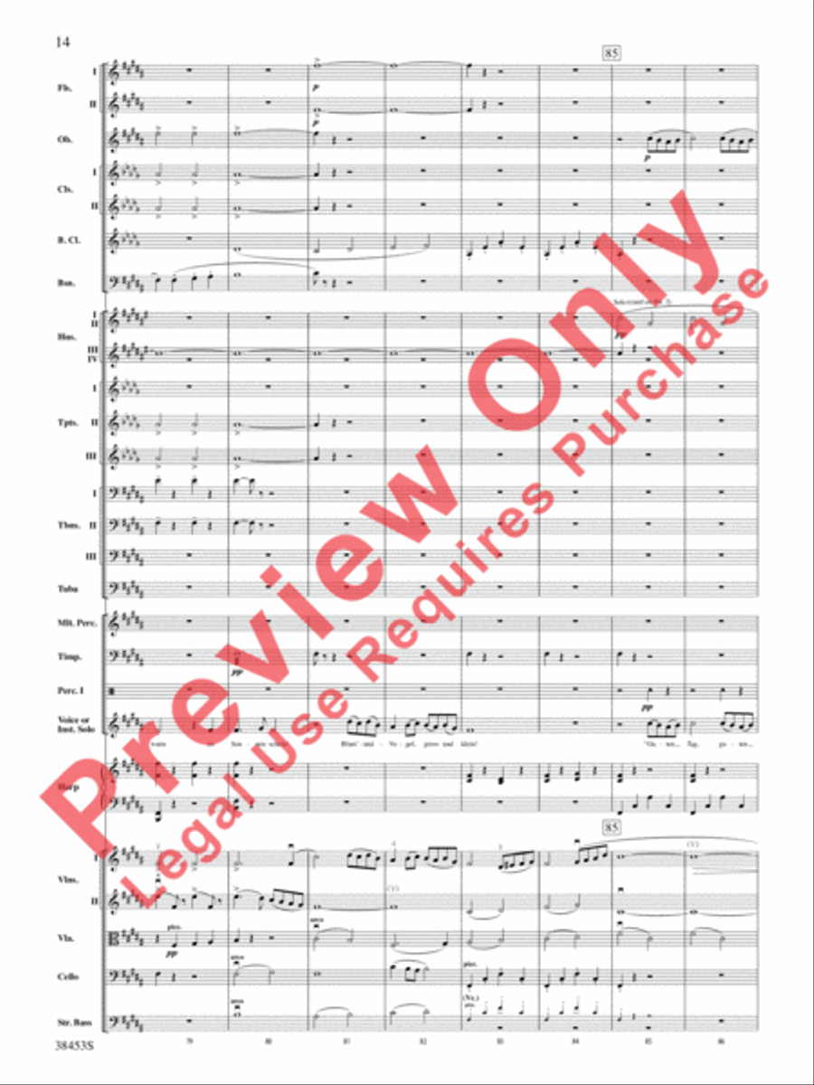 Ging heut Morgen übers Feld Full Orchestra scores gallery preview page 15