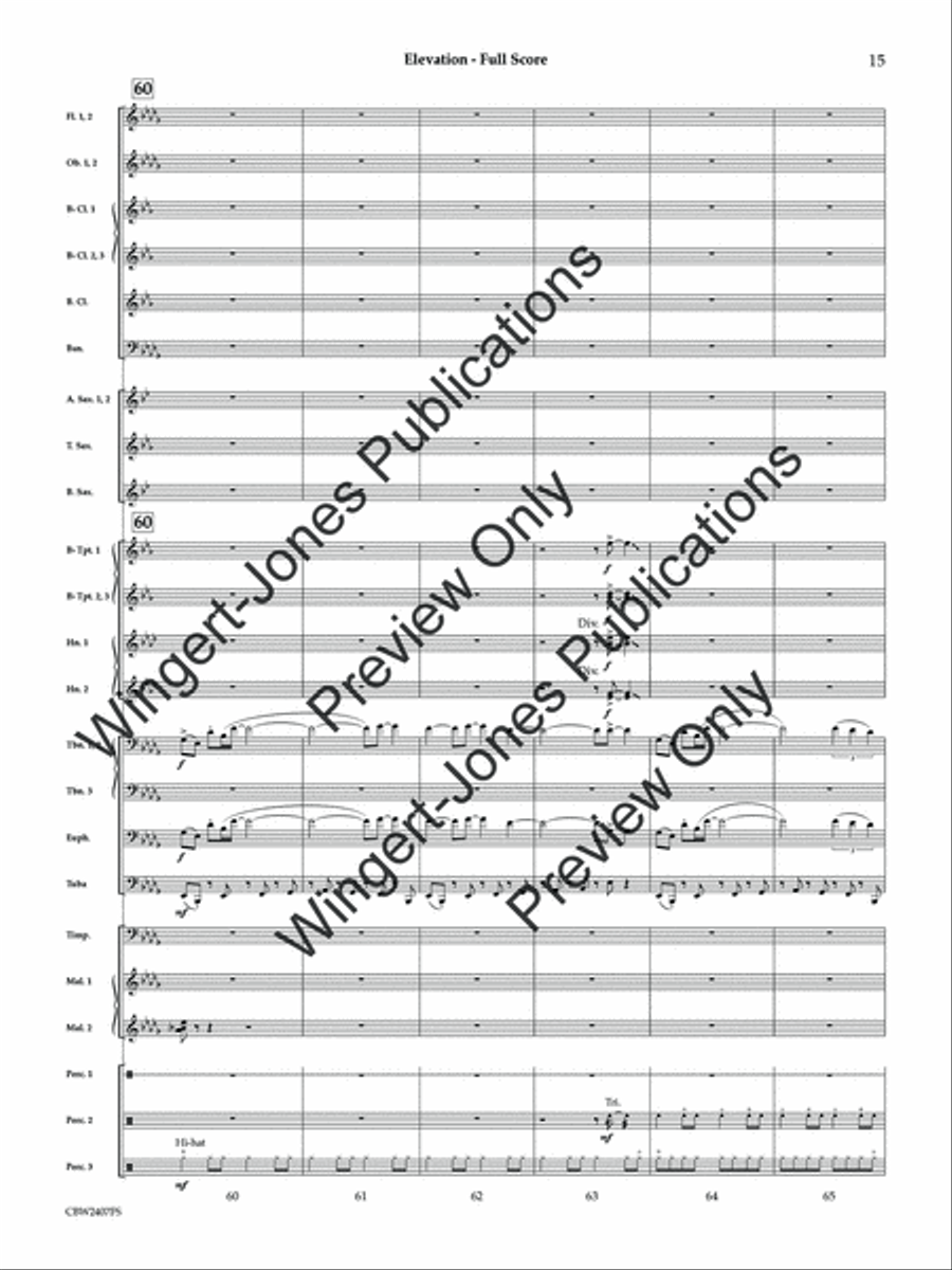 Elevation (Score) Concert Band scores gallery preview page 16