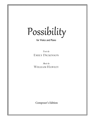Book cover for Possibility