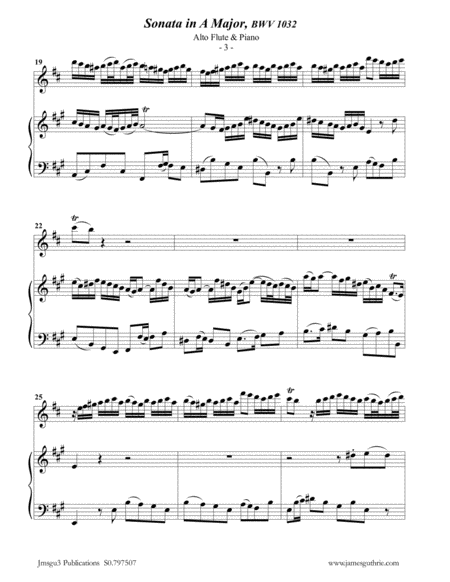 BACH: Sonata BWV 1032 for Alto Flute & Piano image number null