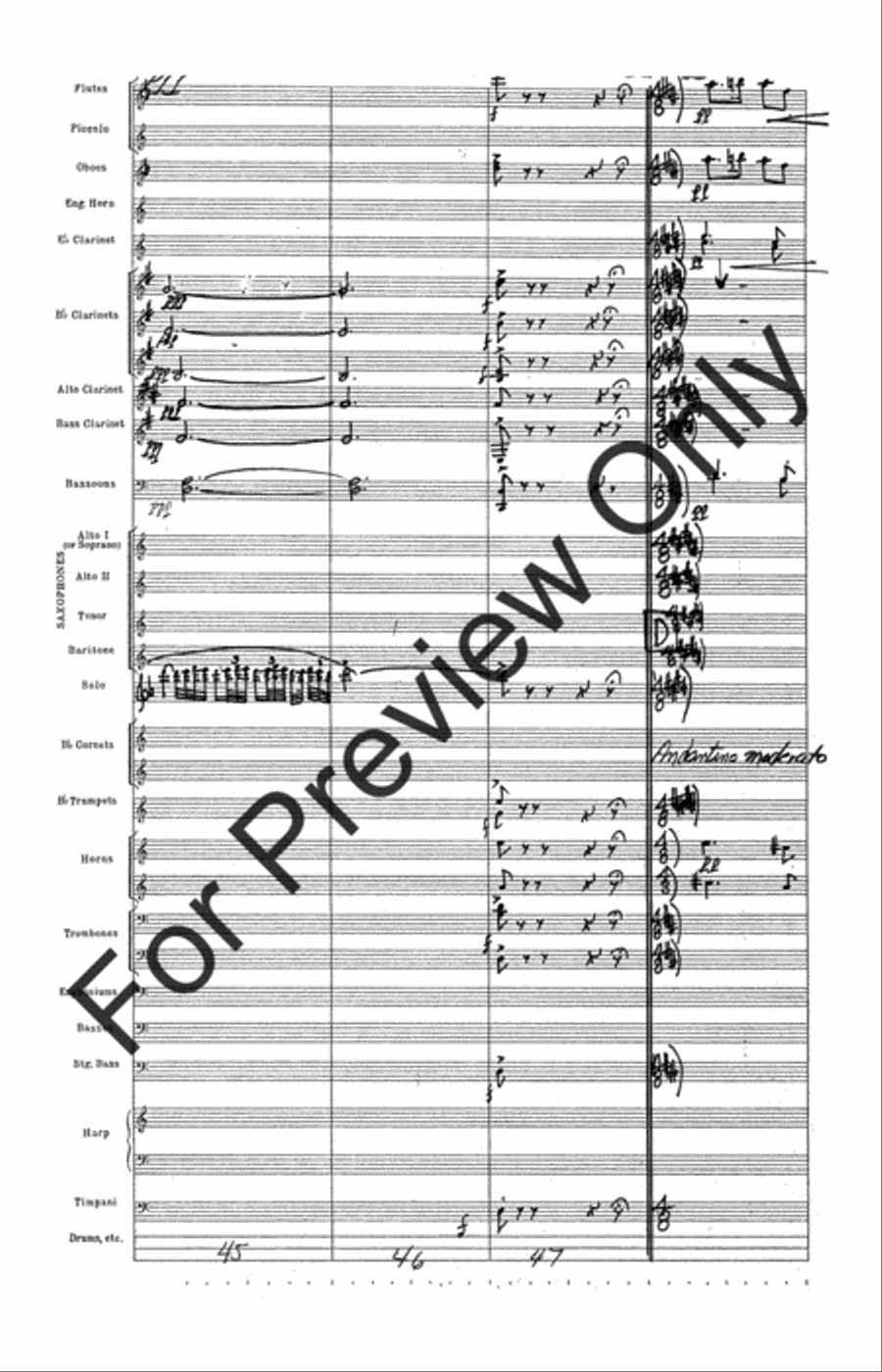 Fantasie Pastoral Hongroise (Score) Concert Band scores gallery preview page 17