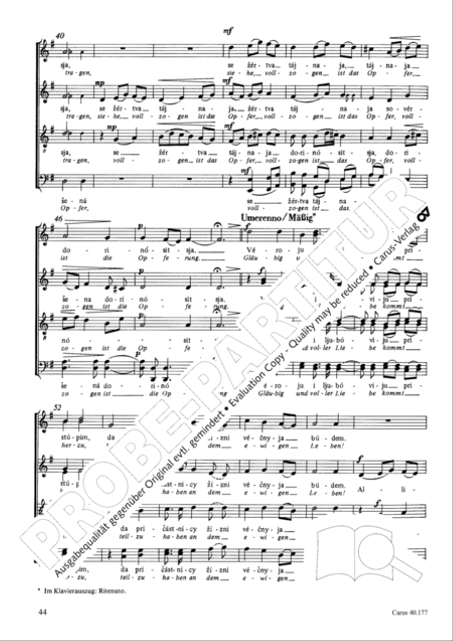 Neun liturgische Chore Neun liturgische Chore Collection / Songbook scores gallery preview page 45